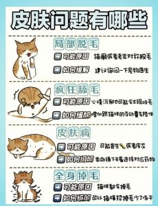 剃猫后多久长毛？1-2周开始，3-6月恢复，科学护理是关键！（猫咪剃了毛长不出来怎么办）
