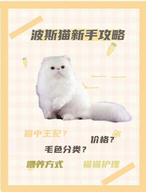 波斯菊有毒,养猫家庭慎选,推荐猫草等安全植物(养猫家里可以养波斯菊吗) 波斯菊有毒,养猫家庭慎选,推荐猫草等安全植物(养猫家里可以养波斯菊吗)