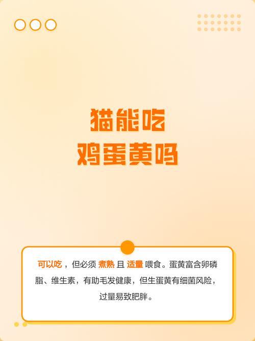猫咪适量吃蛋黄,注意健康风险(猫咪吃蛋黄有什么好处和坏处) 猫咪适量吃蛋黄,注意健康风险(猫咪吃蛋黄有什么好处和坏处)