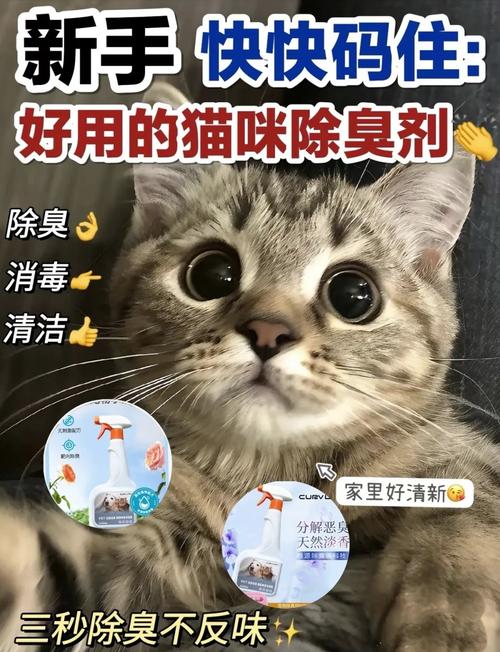 铲屎洗澡勤通风,猫屋臭味没烦恼(养猫屋里臭气熏天怎么去除) 铲屎洗澡勤通风,猫屋臭味没烦恼(养猫屋里臭气熏天怎么去除)