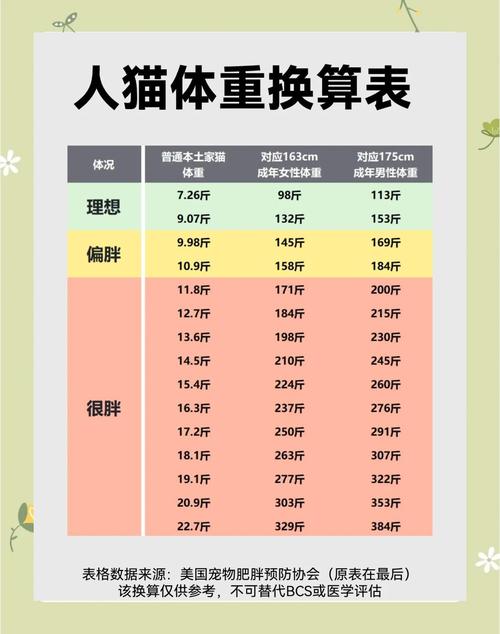 德文猫标准体重4-7公斤,科学喂养防肥胖(德文猫体重对照表月龄) 德文猫标准体重4-7公斤,科学喂养防肥胖(德文猫体重对照表月龄)