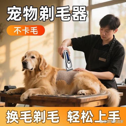 静音安全,长毛猫慎用(给猫咪用什么剃毛刀最好呢) 静音安全,长毛猫慎用(给猫咪用什么剃毛刀最好呢)