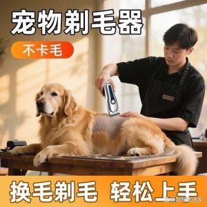 静音安全，长毛猫慎用（给猫咪用什么剃毛刀最好呢）