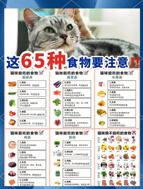 幼猫爱吃什么?营养美味全攻略(幼猫最爱吃的10种食物) 幼猫爱吃什么?营养美味全攻略(幼猫最爱吃的10种食物)