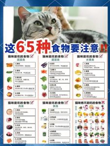 幼猫爱吃什么？营养美味全攻略（幼猫最爱吃的10种食物）