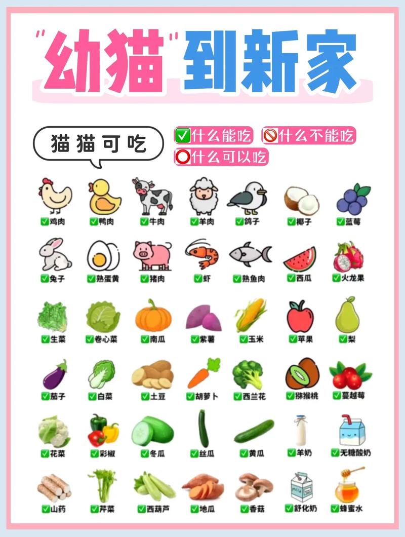 猫咪饮食禁忌多,安全喂食是关键(猫咪不能吃的东西) 猫咪饮食禁忌多,安全喂食是关键(猫咪不能吃的东西)