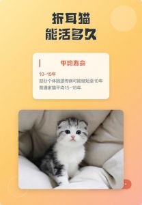 折耳猫寿命10-16年，科学照料更长久（折耳猫可以活几年）