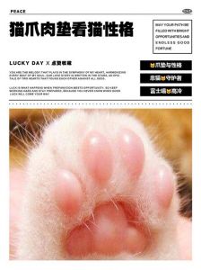 猫咪脚底毛要剪，太长影响健康！（猫咪脚底的毛需不需要剪）