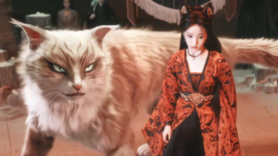 猫穿古装遇真爱,奇幻市井剧推荐(关于猫的电视剧古装) 猫穿古装遇真爱,奇幻市井剧推荐(关于猫的电视剧古装)