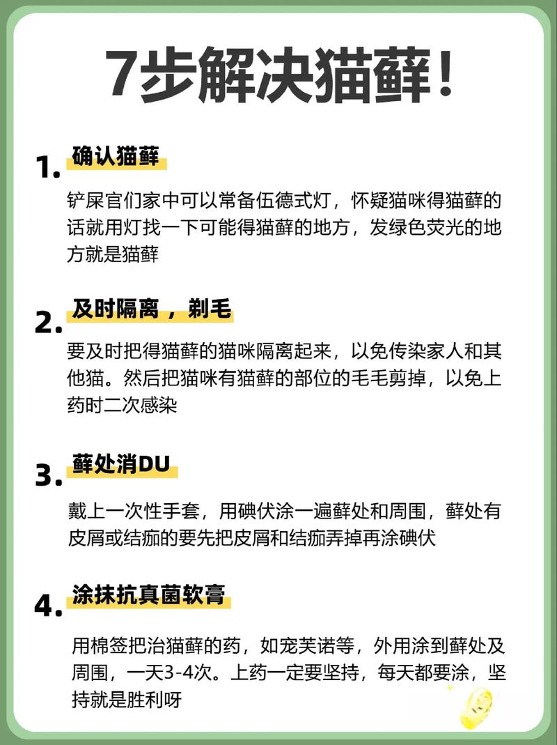 猫毛粘内裤,易过敏人群需警惕(猫毛粘在内裤上要紧吗) 猫毛粘内裤,易过敏人群需警惕(猫毛粘在内裤上要紧吗)