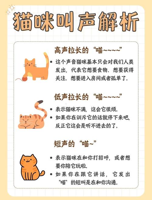 猫咪春秋发情乱叫?温柔应对有妙招!(猫叫秧子怎么办) 猫咪春秋发情乱叫?温柔应对有妙招!(猫叫秧子怎么办)