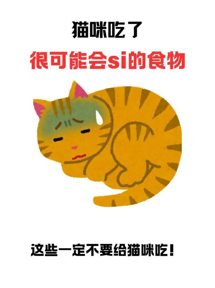 猫咪食欲不振怎么办?试试这些方法!(猫不吃东西怎么办) 猫咪食欲不振怎么办?试试这些方法!(猫不吃东西怎么办)