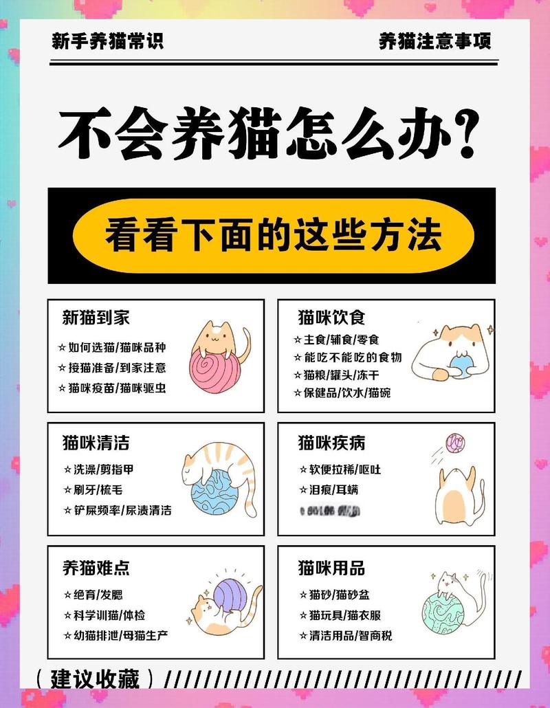 猫咪攻击怎么办?理解原因,耐心引导!(家猫攻击性太强怎么办) 猫咪攻击怎么办?理解原因,耐心引导!(家猫攻击性太强怎么办)
