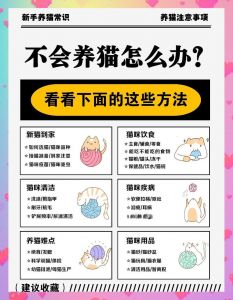 猫咪攻击怎么办？理解原因，耐心引导！（家猫攻击性太强怎么办）