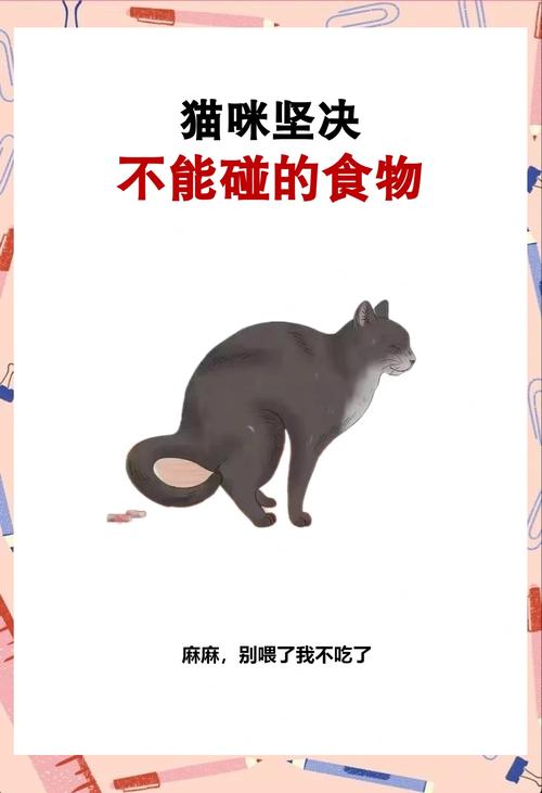 猫不能吃人类食物,有毒风险大,专用猫粮更安全!(猫咪饮食禁忌) 猫不能吃人类食物,有毒风险大,专用猫粮更安全!(猫咪饮食禁忌)