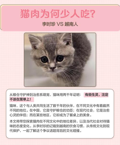 补益还是风险？（吃猫肉好吗）