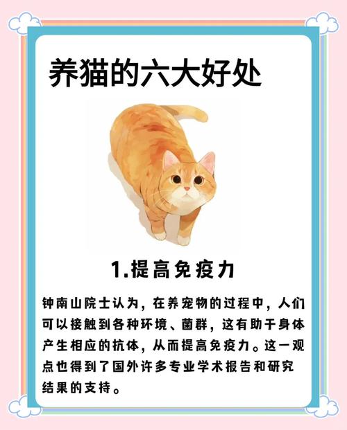 养猫是福报,猫咪懂人心,带来温暖与平静(养猫需要巨大的福报) 养猫是福报,猫咪懂人心,带来温暖与平静(养猫需要巨大的福报)