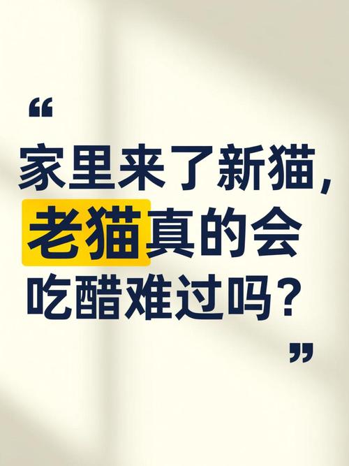 新猫老猫相处难?温柔引导有妙招!(来了新猫老猫会难过吗) 新猫老猫相处难?温柔引导有妙招!(来了新猫老猫会难过吗)