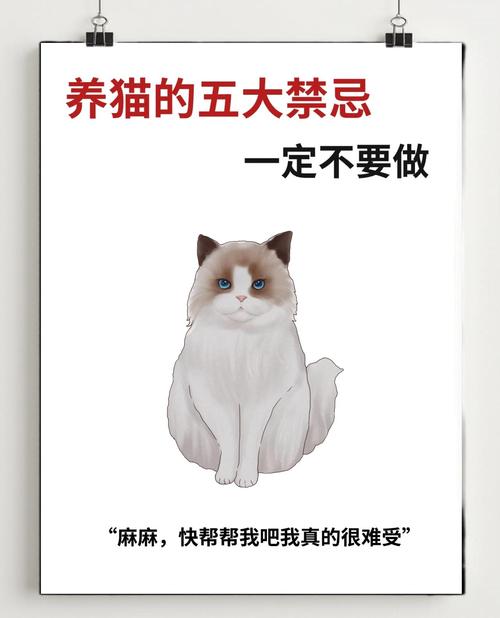 科学喂养健康指南(养猫的注意事项和禁忌) 科学喂养健康指南(养猫的注意事项和禁忌)