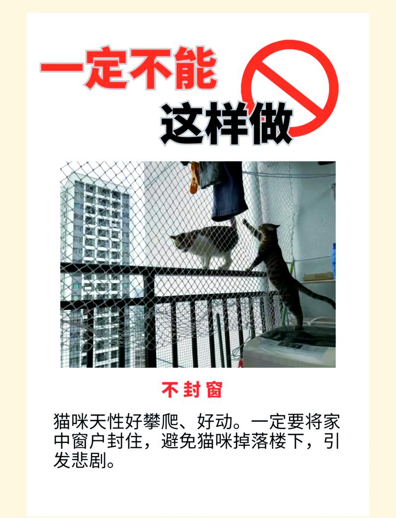 男不养猫过时了?男性养猫也正常!(男不养猫的禁忌是什么) 男不养猫过时了?男性养猫也正常!(男不养猫的禁忌是什么)