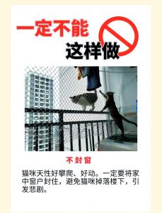 男不养猫过时了？男性养猫也正常！（男不养猫的禁忌是什么）