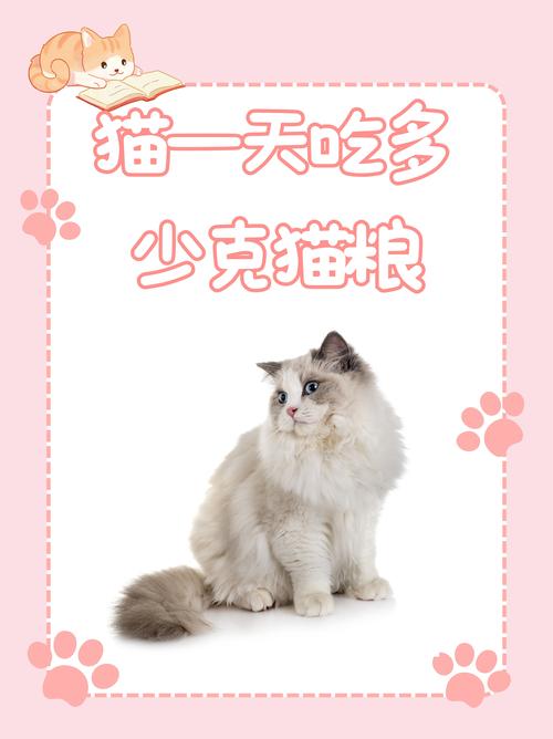 猫吃南瓜红薯易便秘，清淡食物要慎喂（猫猫可以喝南瓜红豆红薯大麦水吗）