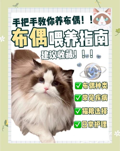 程雪苏柒若水落落甜蜜法则(尊养小夫郎by猫布偶) 程雪苏柒若水落落甜蜜法则(尊养小夫郎by猫布偶)