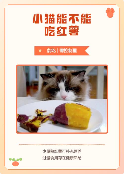 猫可少量食红薯,助消化补营养,注意别过量(小猫可不可以吃红薯) 猫可少量食红薯,助消化补营养,注意别过量(小猫可不可以吃红薯)