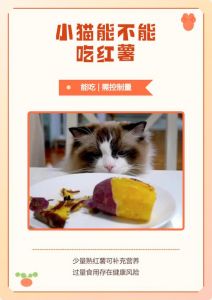 猫可少量食红薯，助消化补营养，注意别过量（小猫可不可以吃红薯）