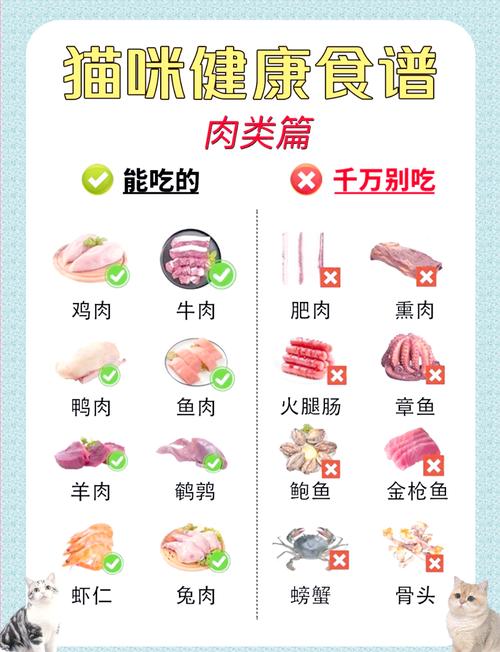20种人类食物推荐(猫能吃的20种食物) 20种人类食物推荐(猫能吃的20种食物)