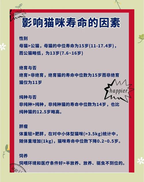 猫咪几岁繁殖最好?(种猫一般几岁退役) 猫咪几岁繁殖最好?(种猫一般几岁退役)