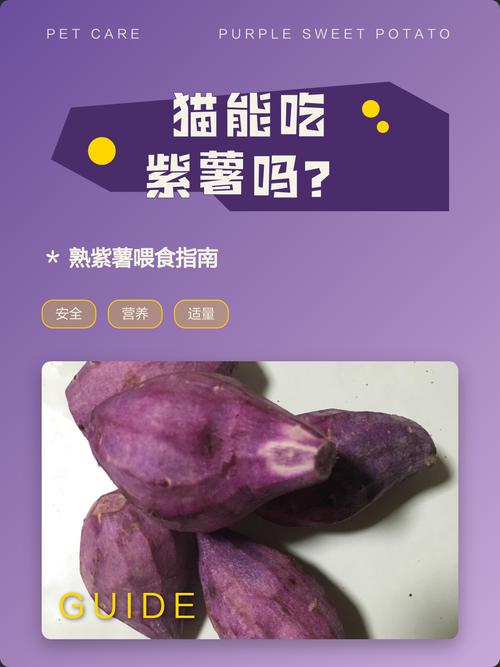 喂猫红薯紫薯要适量煮熟(猫能吃山芋或紫薯吗) 喂猫红薯紫薯要适量煮熟(猫能吃山芋或紫薯吗)