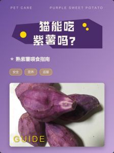 喂猫红薯紫薯要适量煮熟（猫能吃山芋或紫薯吗）