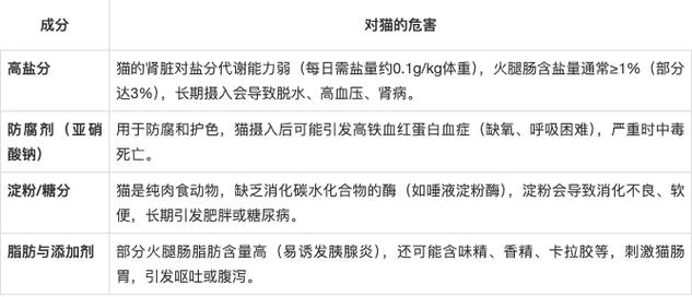 火腿肠对猫有害,别喂!(猫猫可以吃火腿肠吗) 火腿肠对猫有害,别喂!(猫猫可以吃火腿肠吗)