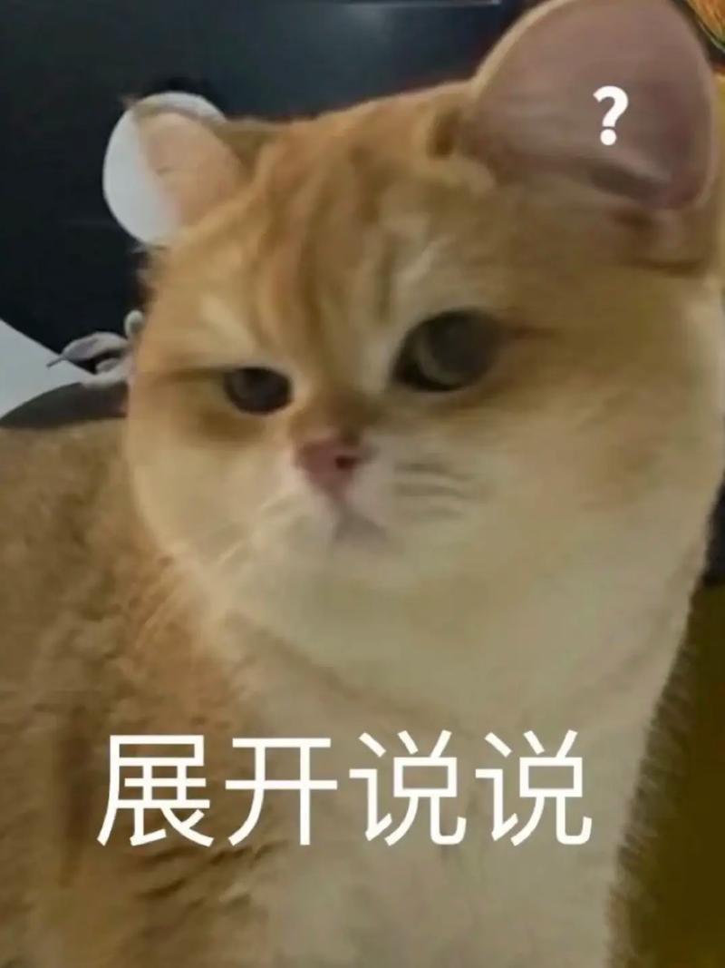 红薯可喂猫,助消化但别多吃,均衡饮食最重要(猫不吃猫粮吃红薯) 红薯可喂猫,助消化但别多吃,均衡饮食最重要(猫不吃猫粮吃红薯)