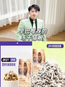 选对猫粮，猫咪健康增肥（吃什么猫粮增肥最快）