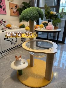 经济空间不同，猫狗选择有别（穷人养狗富人养猫完整版）