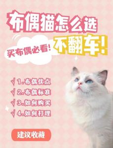 布偶猫价格差异大，从5000元到几万元不等，选猫要综合考虑（一只布偶猫大概多少钱）