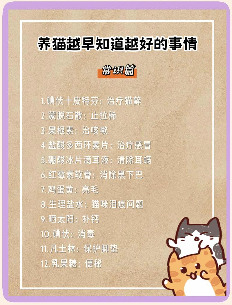 防跌落遮阳,内外活动皆重要(把猫养在阳台要注意什么) 防跌落遮阳,内外活动皆重要(把猫养在阳台要注意什么)