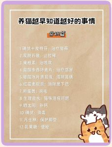 高颜值小白猫，聪明又亲人！（养白猫有什么讲究吗）