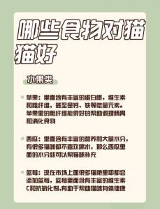 红薯喂猫有讲究，适量煮熟助消化（红薯对猫咪的好处）