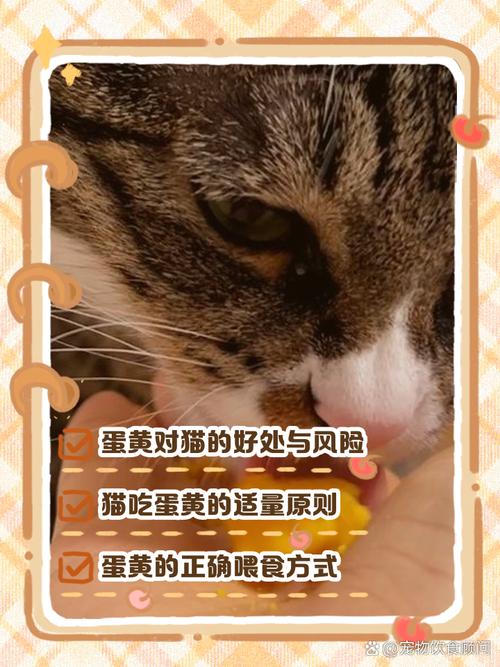 助毛发光泽促成长,但需煮熟适量(三个月小猫能吃蛋黄有什么好处) 助毛发光泽促成长,但需煮熟适量(三个月小猫能吃蛋黄有什么好处)
