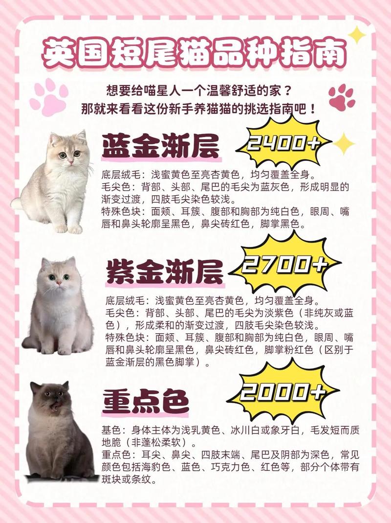 品种性格毛发,选只适合你的猫(宠物猫品种大全及图片) 品种性格毛发,选只适合你的猫(宠物猫品种大全及图片)