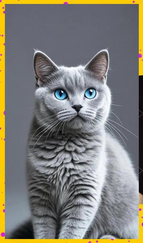 品种性格毛发,选只适合你的猫(宠物猫品种大全及图片) 品种性格毛发,选只适合你的猫(宠物猫品种大全及图片)