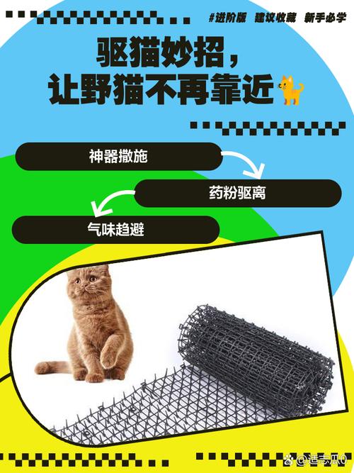 野猫扰民?物理气味驱赶,温柔绝育放归(怎样赶走野猫最有效) 野猫扰民?物理气味驱赶,温柔绝育放归(怎样赶走野猫最有效)