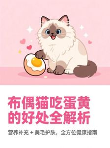 猫咪适量吃蛋黄好，别过量，煮熟当零食（猫一次吃多少蛋黄）