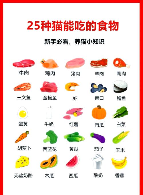 幼猫喂养要科学 选对主食助成长(幼猫能吃什么) 幼猫喂养要科学 选对主食助成长(幼猫能吃什么)