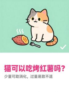 蒸红薯养猫？少量喂食需注意！（猫咪能吃红薯吗熟的）