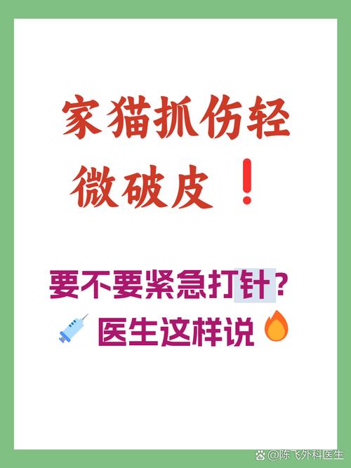 布偶猫抓伤需打狂犬疫苗吗?(布偶猫抓伤需要打狂犬疫苗吗) 布偶猫抓伤需打狂犬疫苗吗?(布偶猫抓伤需要打狂犬疫苗吗)