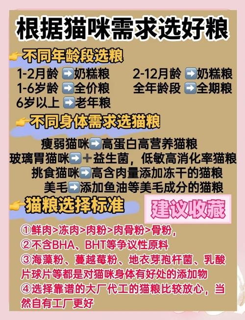 渴望低脂猫粮,帮猫咪健康减肥(猫咪减肥吃什么猫粮好) 渴望低脂猫粮,帮猫咪健康减肥(猫咪减肥吃什么猫粮好)